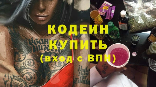 mix Инта