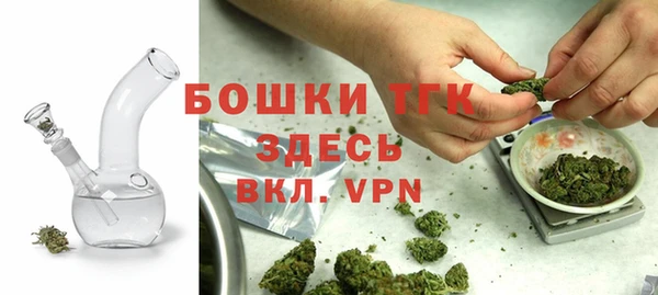 mix Инта