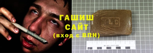 mix Инта