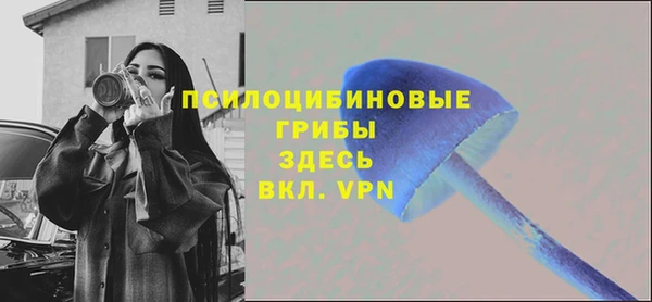 тгк Корсаков