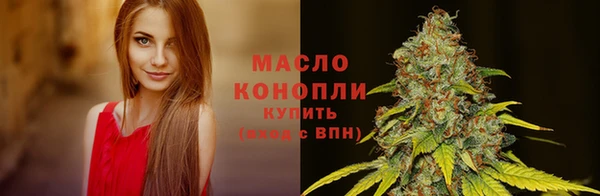 mix Инта