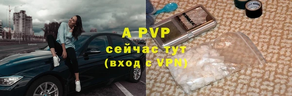 ALPHA PVP Инсар